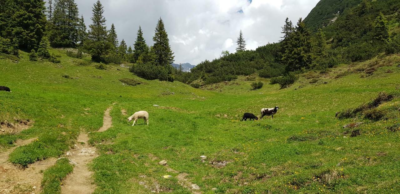 شقة Residenz Tirol Lechleiten المظهر الخارجي الصورة